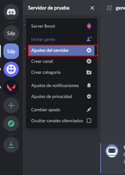 ajustes del servidor discord