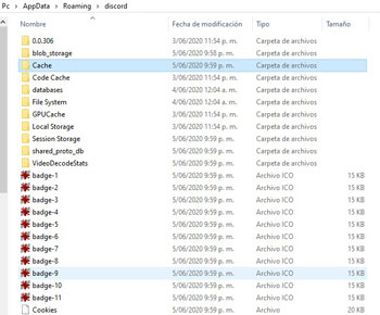 carpeta cache discord